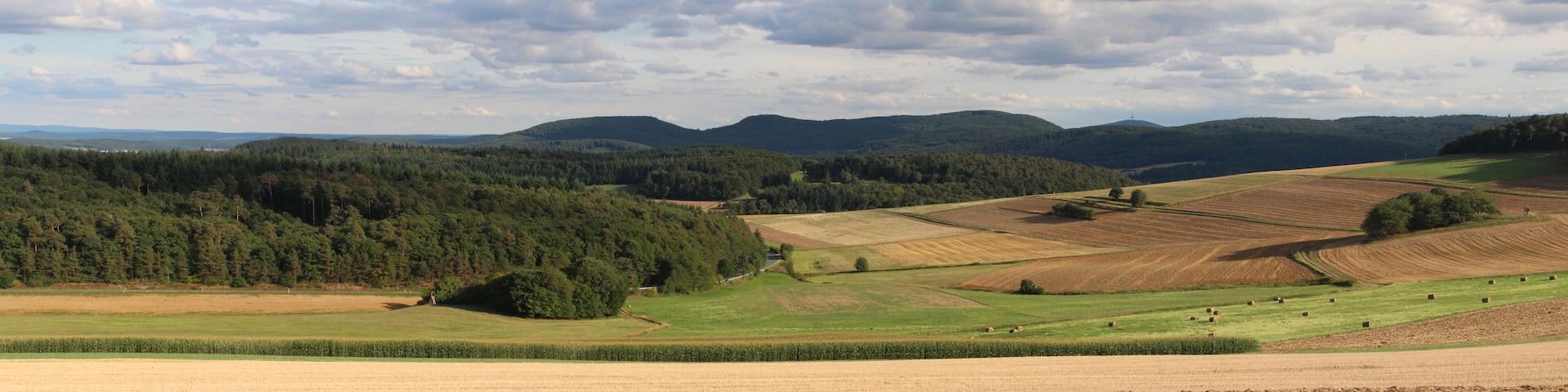 Standort ist etwa in der Nähe dieser Aufnahme File:Dreisberg-Koppe-Hemmerich-Dünsberg-Platte.jpg. Siehe dort für die Beschreibung.