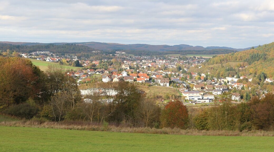 Gladenbach Ende Oktober 2014. Ansicht von Süden. Aufnahmestandort ist der nördl. Hang des Dreisberg (446 Meter nach Handbuch der naturräumlichen Gliederung Deutschlands Blatt 125; Aufnahmestandort laut GPS/EXIF-Daten der Kamera 325,4 Meter über dem Meeresspiegel). Rechts der Bildmitte im hellen Licht der Kirchberg.