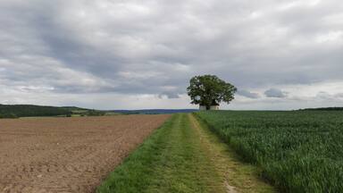 This picture was taken on the route "Ums Mahlholz", which I find in the book "Schweinfurt 360", where suggested about 20 tours for Schweinfurt region. Gertraudiskapelle in Gerolzhofen, Bavaria (Germany).