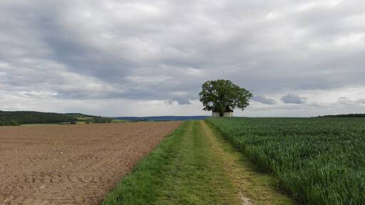 This picture was taken on the route "Ums Mahlholz", which I find in the book "Schweinfurt 360", where suggested about 20 tours for Schweinfurt region. Gertraudiskapelle in Gerolzhofen, Bavaria (Germany).