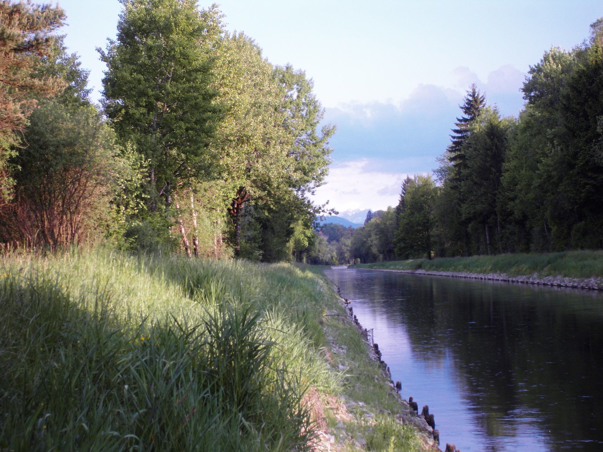Bei der Loisachbrücke am Birkensee