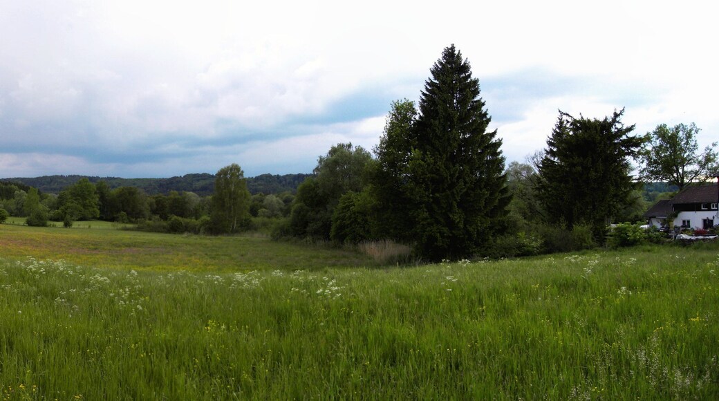 Wiesen, Wald und Wolken am Kanal