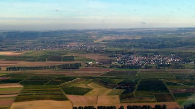 Rundflug Rhein-Nahe: Pfaffen-Schwabenheim und Sprendlingen