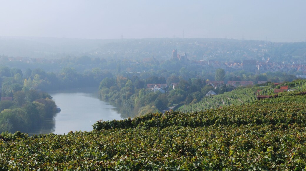 Besigheim in fog, German Federal State Baden-Württemberg.
