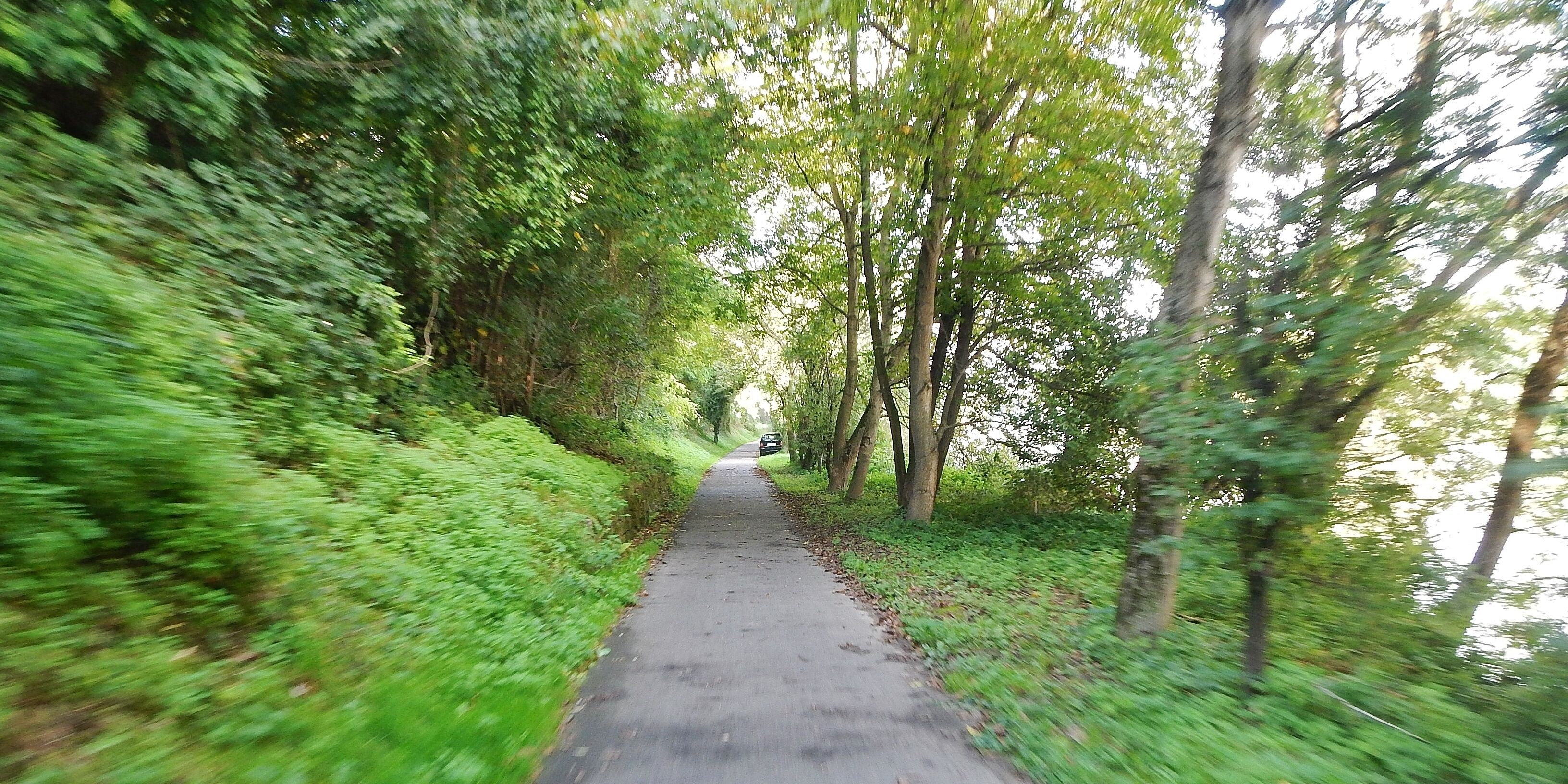 Der 366 km lange Neckartalradweg in Kirchheim am Neckar