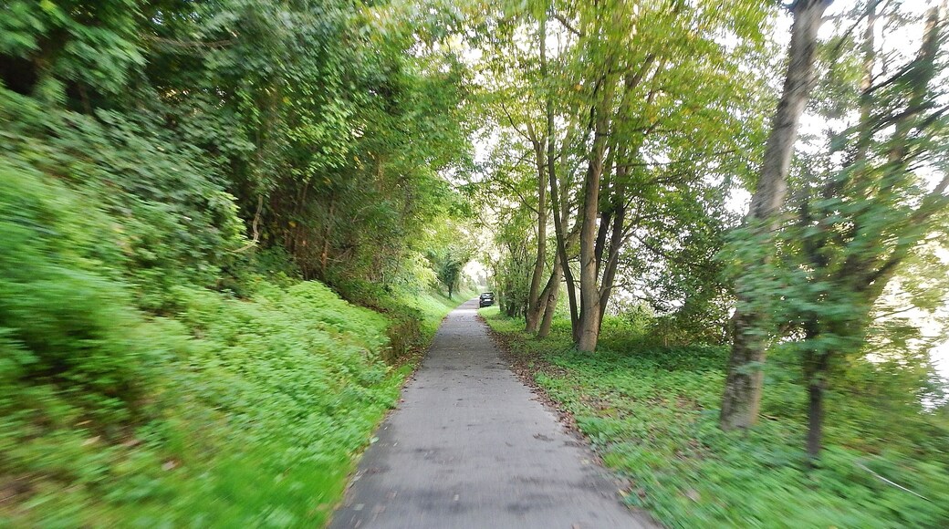 Der 366 km lange Neckartalradweg in Kirchheim am Neckar