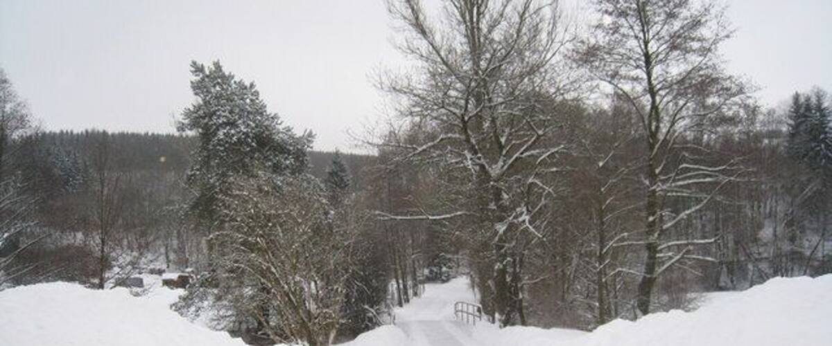 A snow-covered road with trees and a bench in the distance.