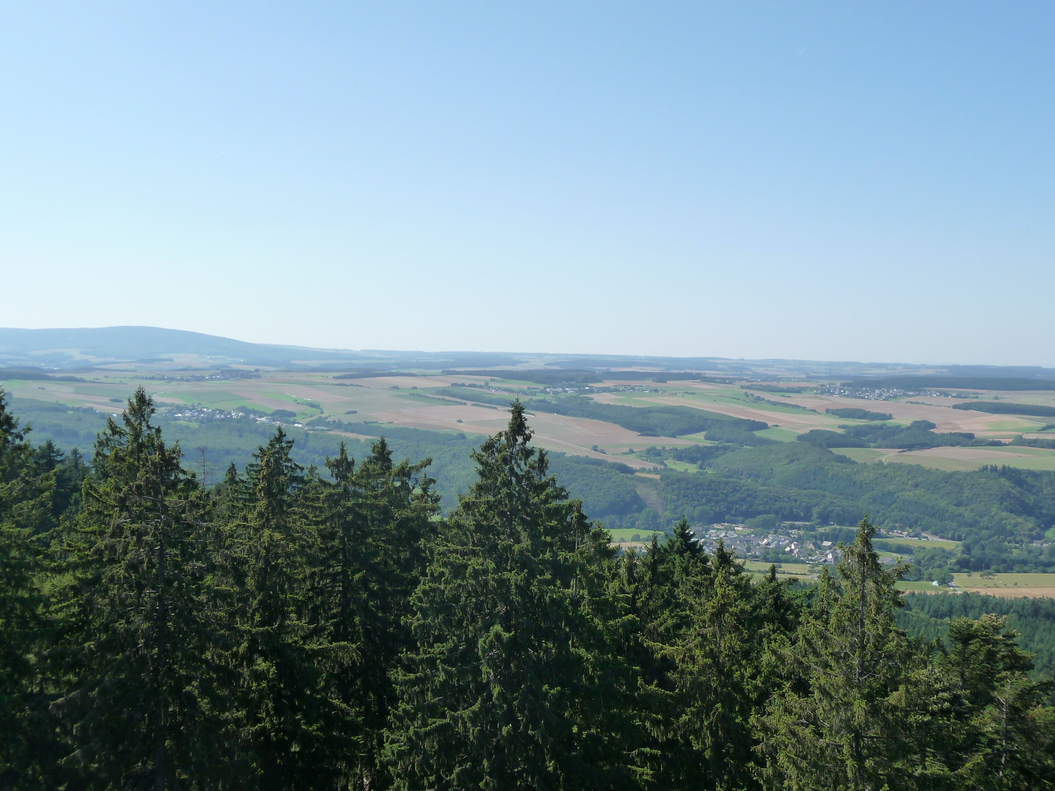 A mountainous landscape with dense forests and a clear blue sky.