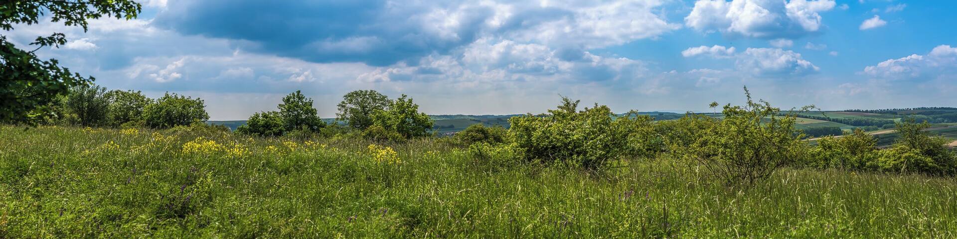 This is a picture of the protected area listed at WDPA under the ID