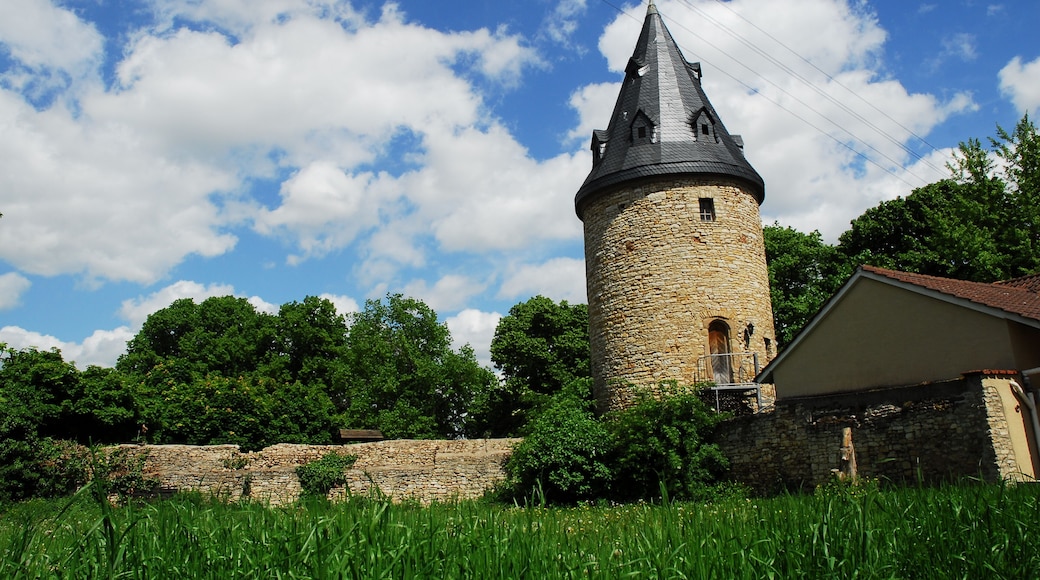 Graulturm mit geringem Stadtmauerrest in Gau-Algesheim, Flösserstraße, als einer der wenigen noch erhaltenen Teile der etwa ovalen, turmbewehrten Ringmauer (Graben 1344 genannt, Mauer 1360 noch im Bau). Runder Stadtmauerturm mit kegelförmigem Steinhelm.