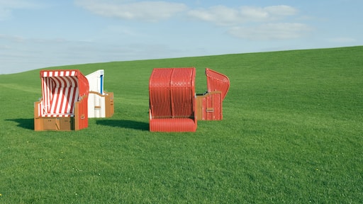 ํ๋ฆฌ๋ํ์ค์ฝ์คํฌ