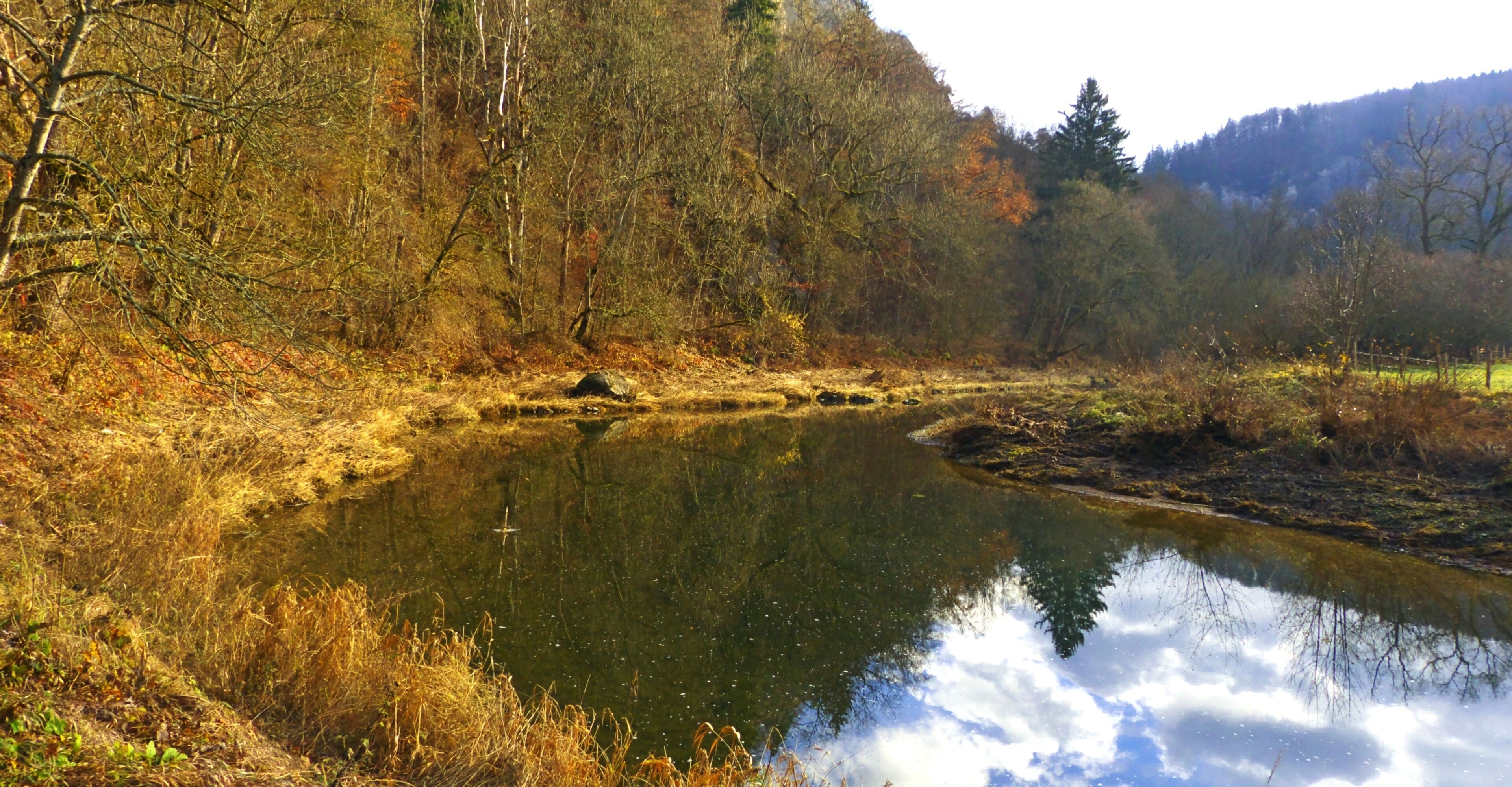 A calm river surrounded by autumn foliage and a forested hillside.