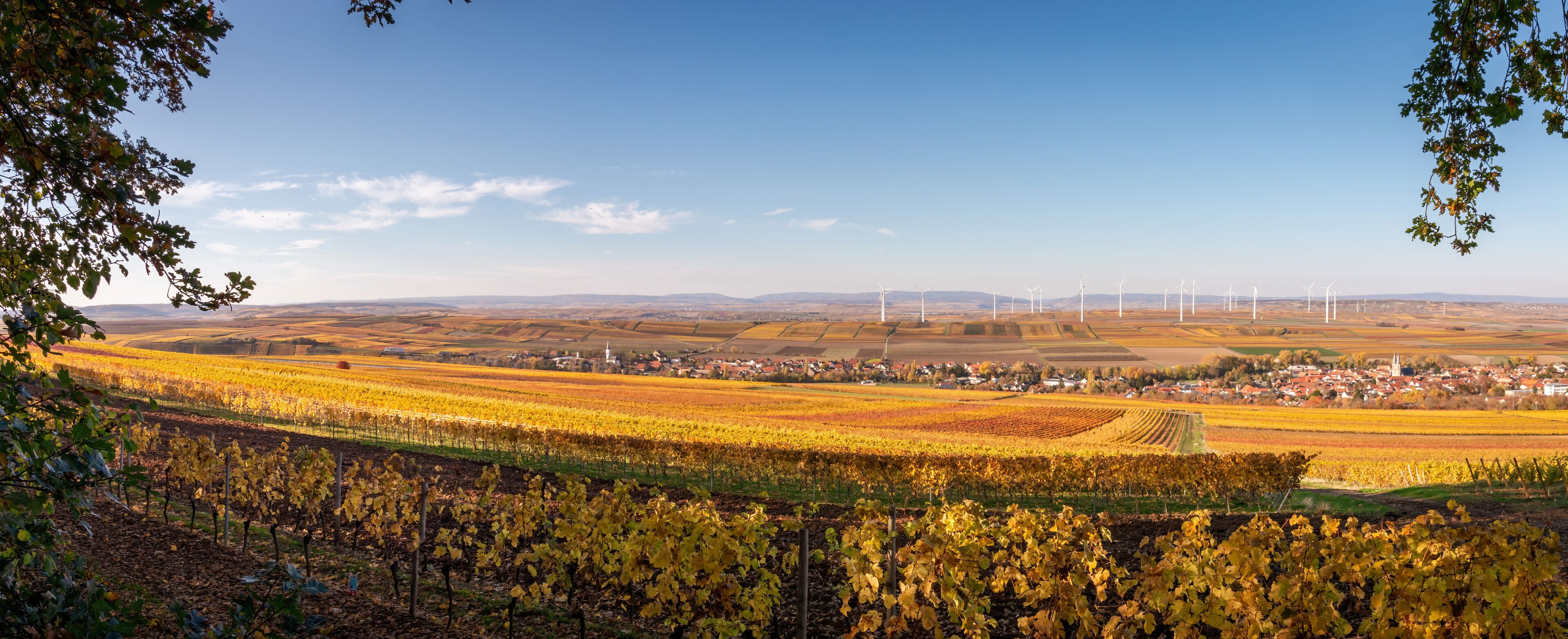 Panoramic view of Flonheim of surrounded by autumn colored vineyards, Rhine Hesse, Germany