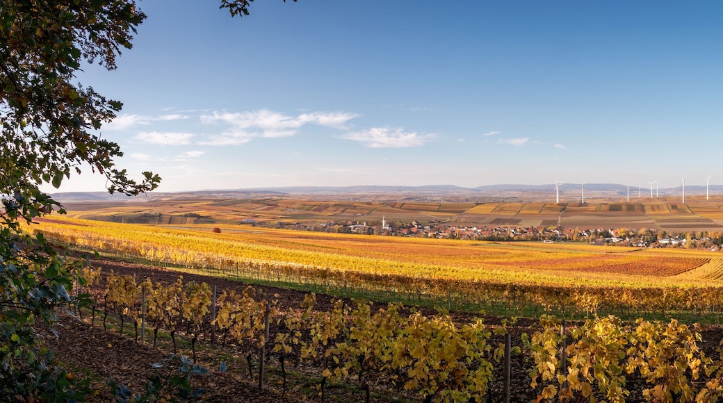 Panoramic view of Flonheim of surrounded by autumn colored vineyards, Rhine Hesse, Germany