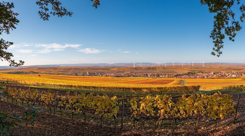 Panoramic view of Flonheim of surrounded by autumn colored vineyards, Rhine Hesse, Germany