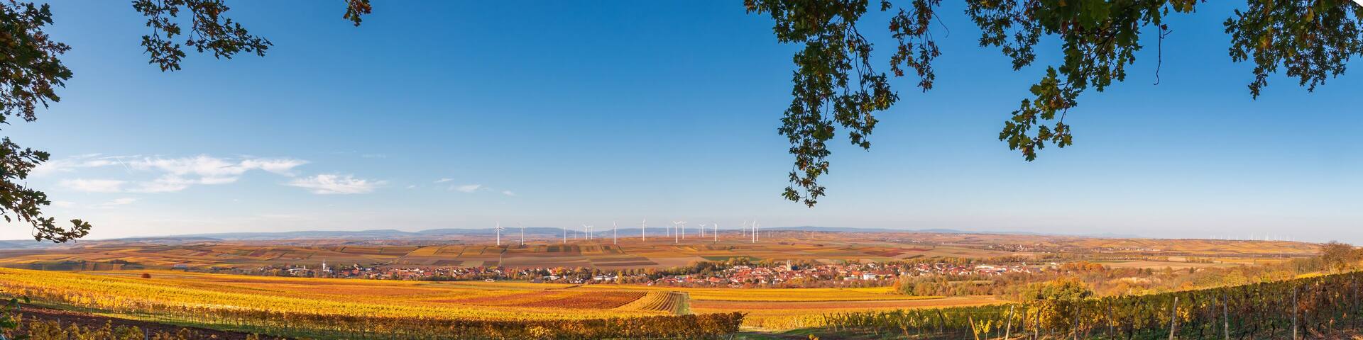 Panoramic view of Flonheim of surrounded by autumn colored vineyards, Rhine Hesse, Germany