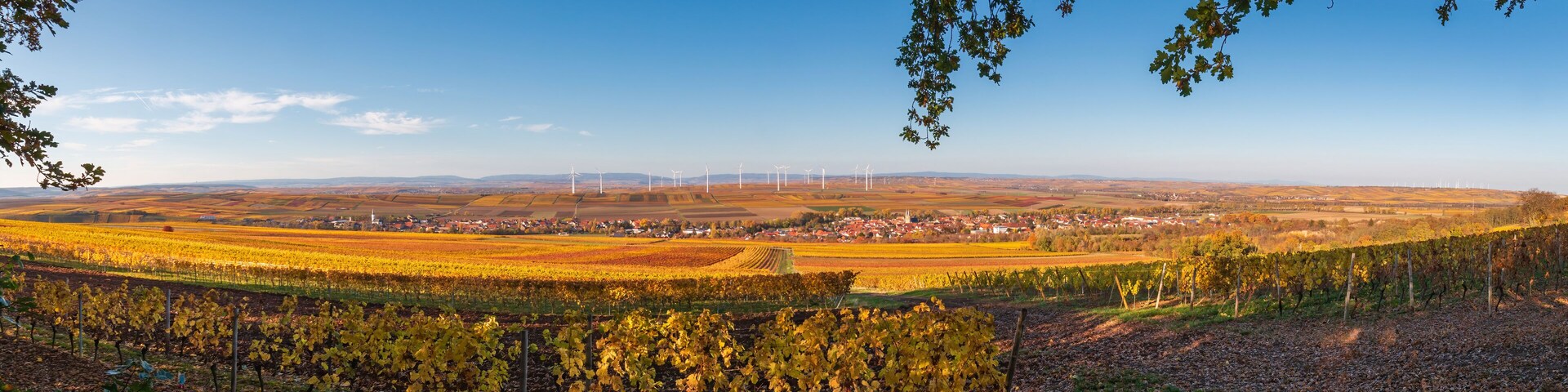 Panoramic view of Flonheim of surrounded by autumn colored vineyards, Rhine Hesse, Germany