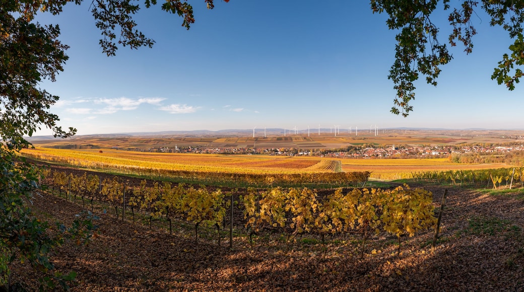 Panoramic view of Flonheim of surrounded by autumn colored vineyards, Rhine Hesse, Germany