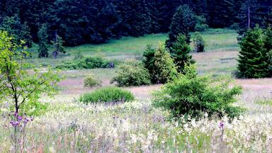 This is a picture of the protected area listed at WDPA under the ID