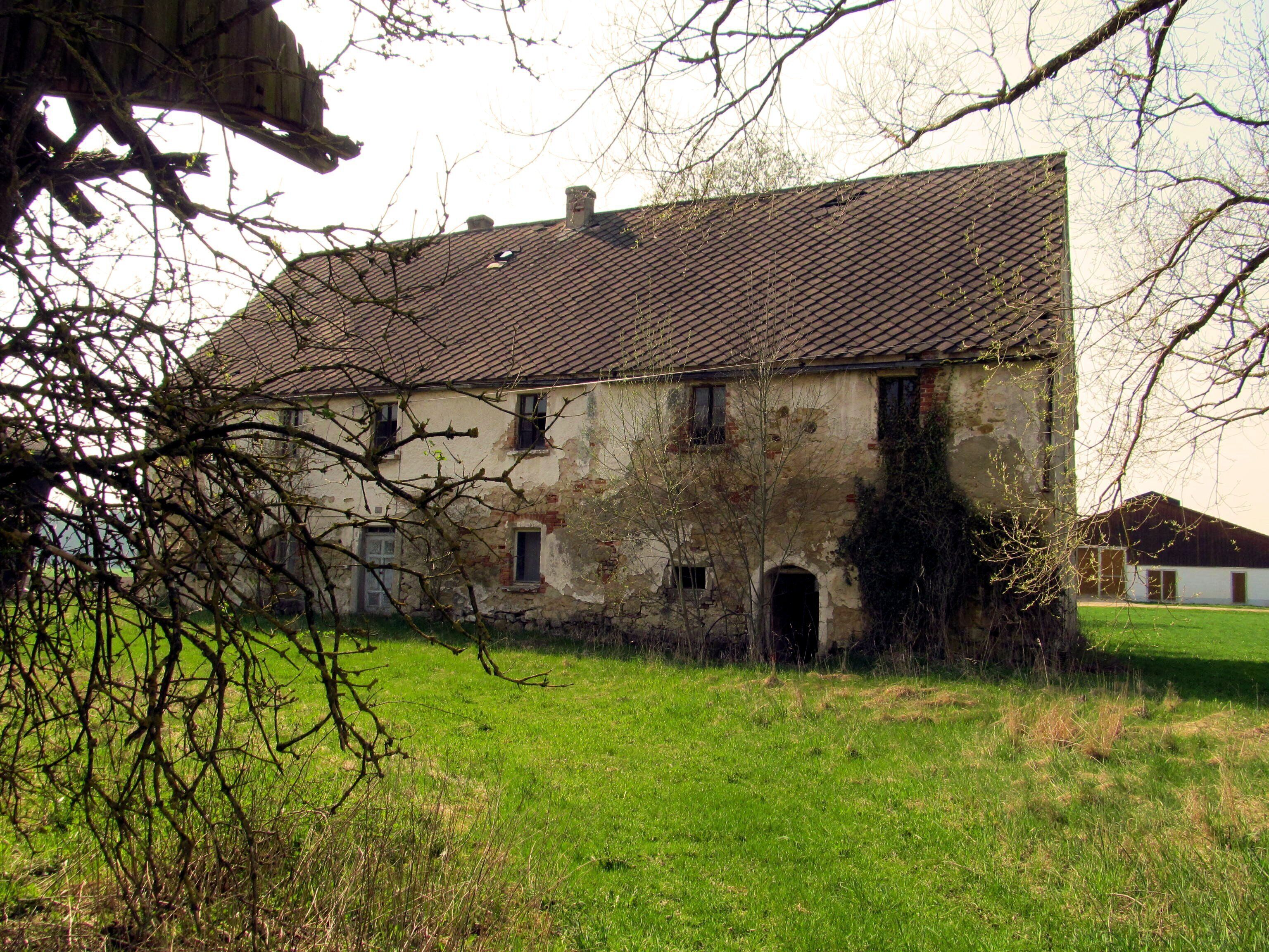 A dilapidated building with a tiled roof, surrounded by overgrown grass and trees.