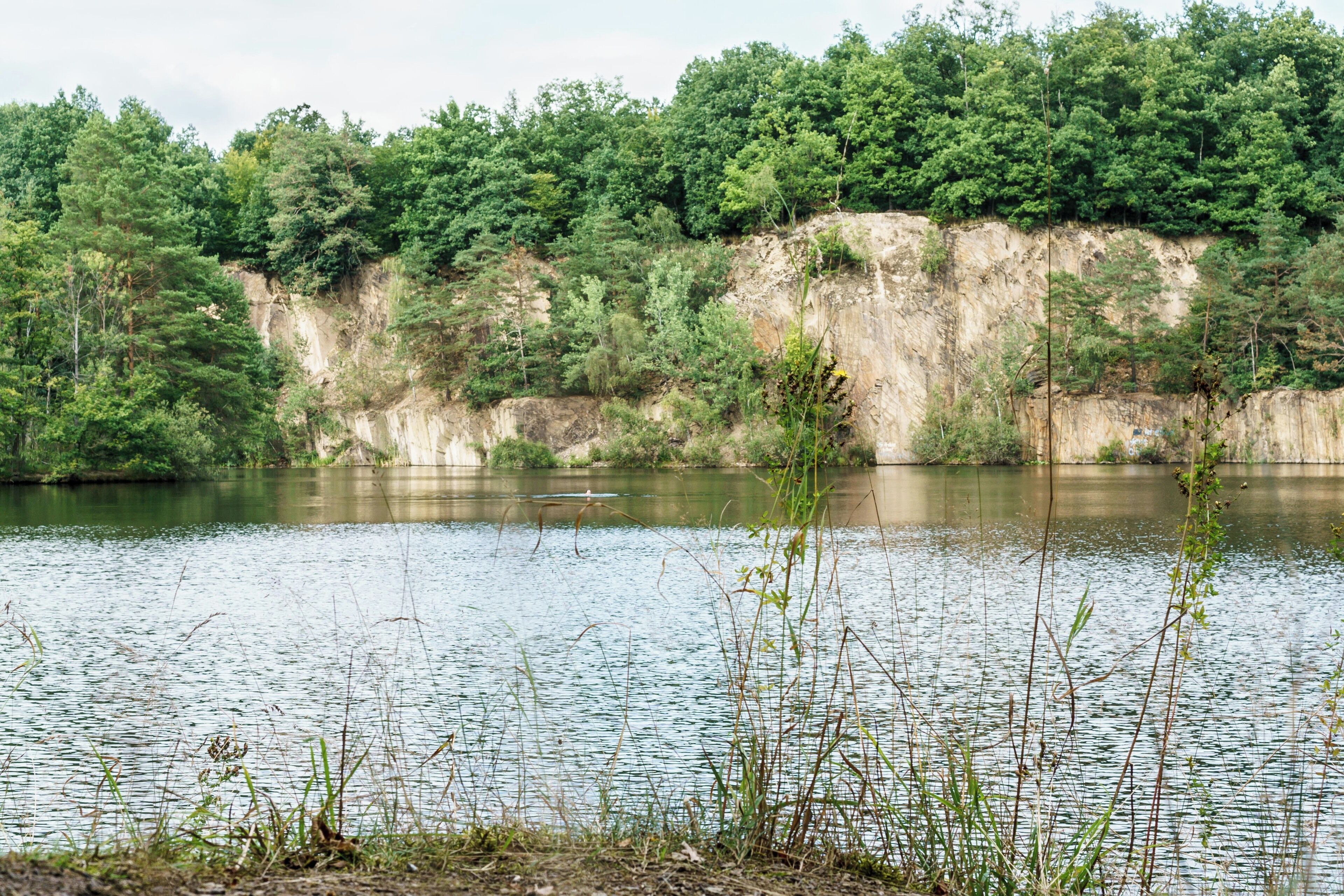 Waldbad Mark-Schönstedt