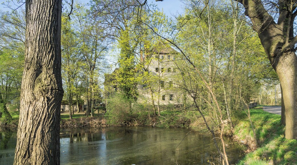 This media shows the protected monument of Saxony with the ID 08972626 KDSa/08972626(other).