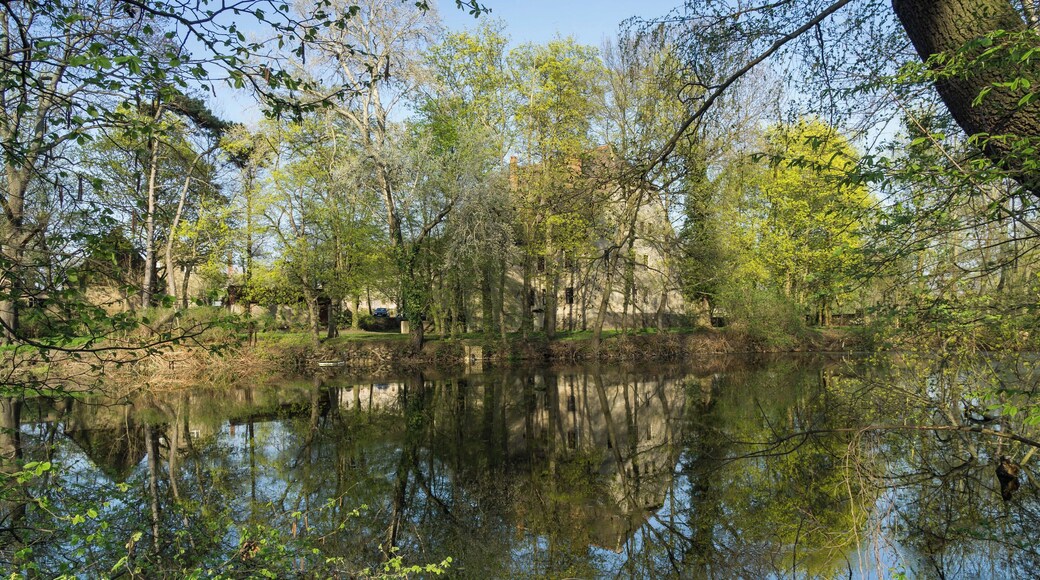 This media shows the protected monument of Saxony with the ID 08972626 KDSa/08972626(other).