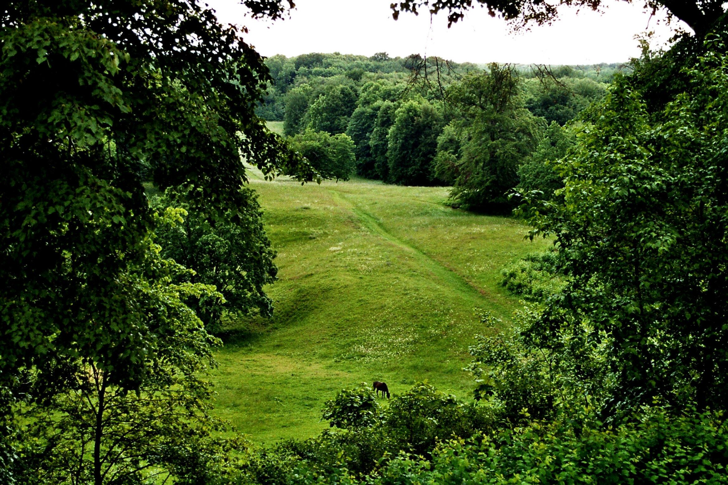 Ettersburg palace, the park