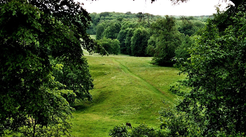 Ettersburg palace, the park