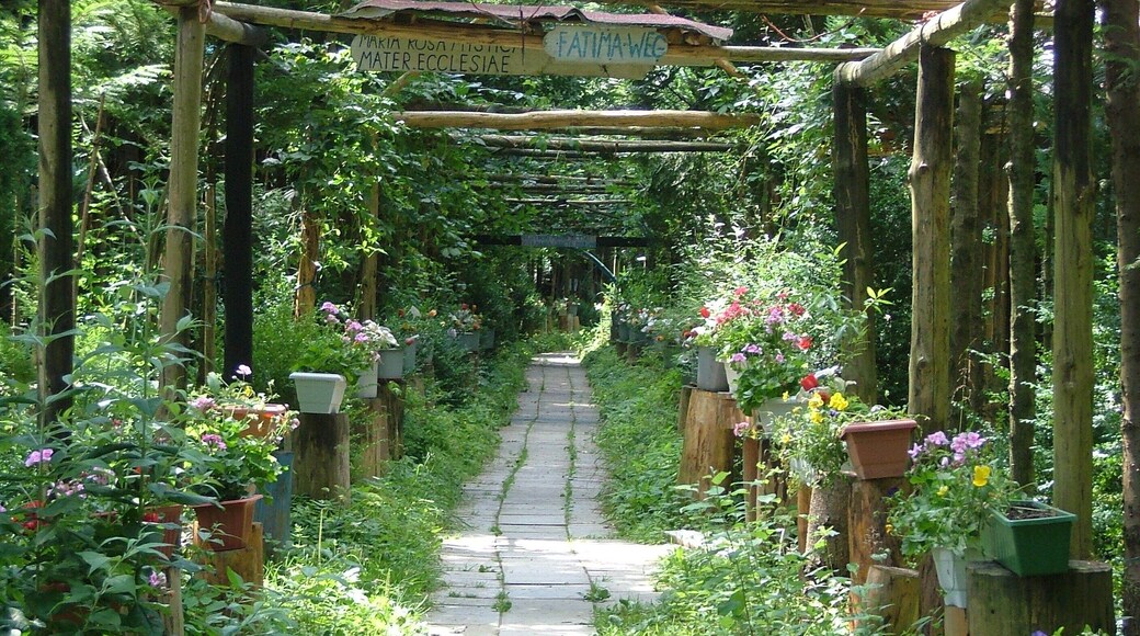 Blumen säumen die Wege