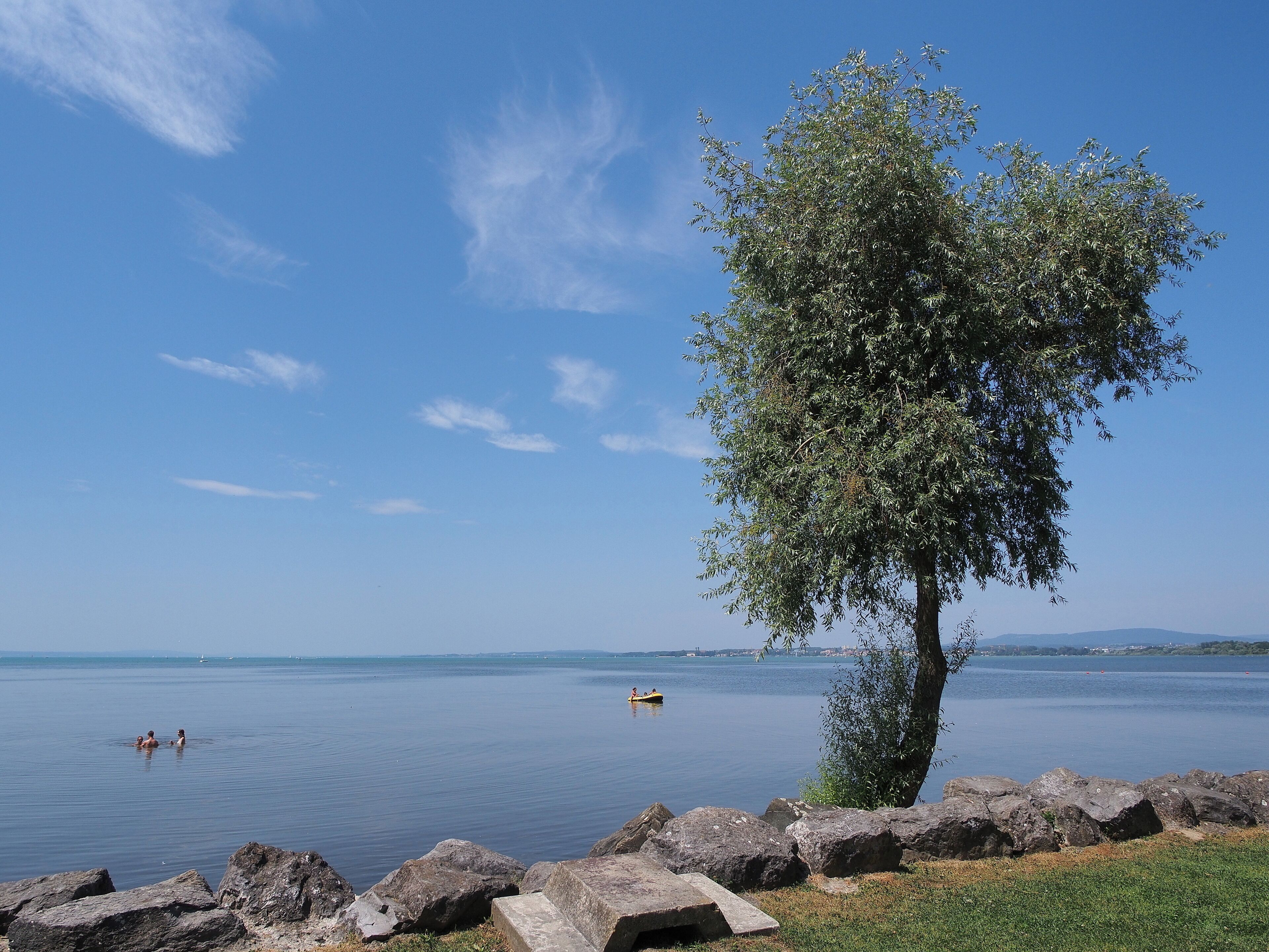 Lake Constance shore at Eriskirch
