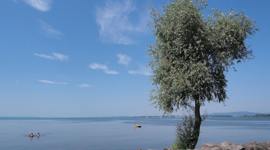 Lake Constance shore at Eriskirch