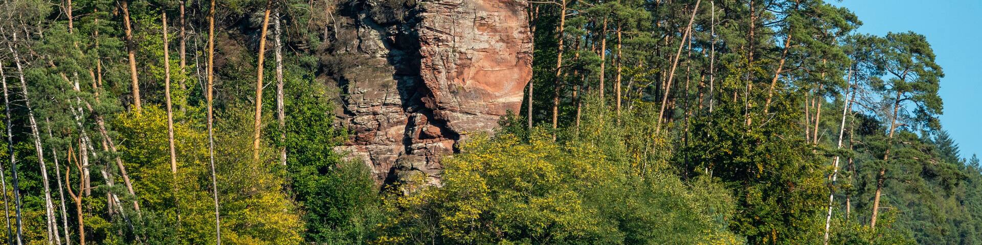 Hahnfels bei Erfweiler im Pfälzerwald