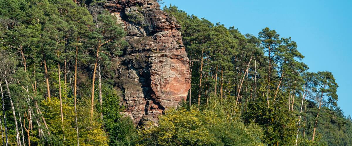 A large rock formation surrounded by dense forest.