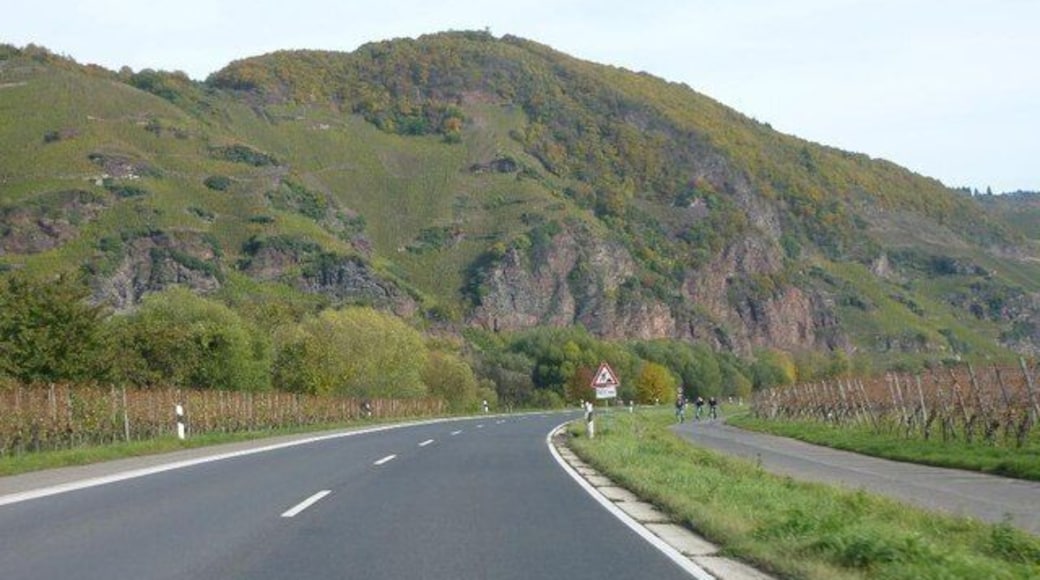 Moseltal und Burgberg bei Erden