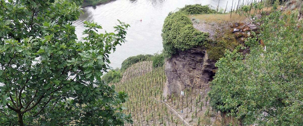 A river with a rocky cliff and dense vegetation.