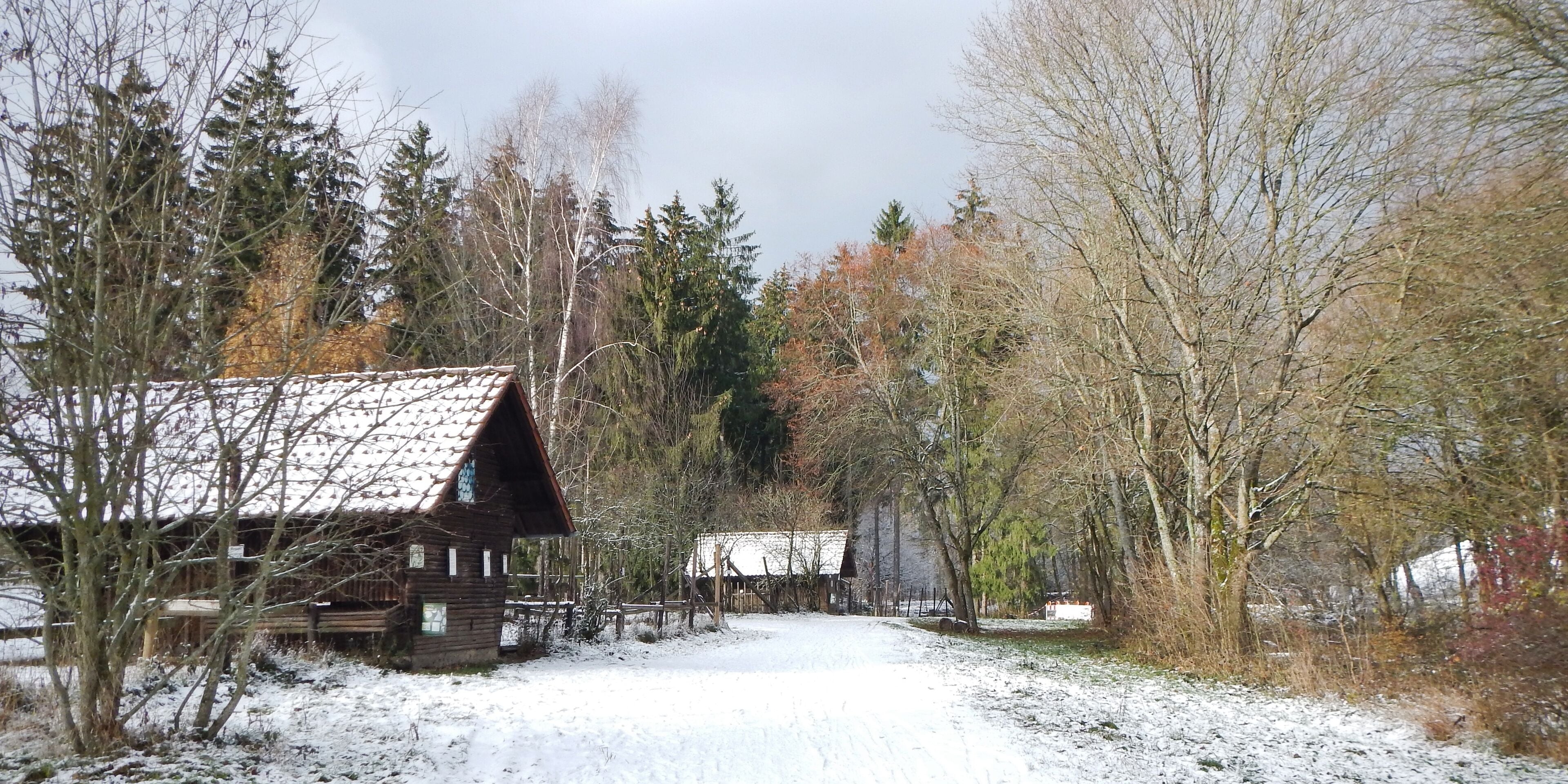 Wildgehege bei Eningen unter Achalm