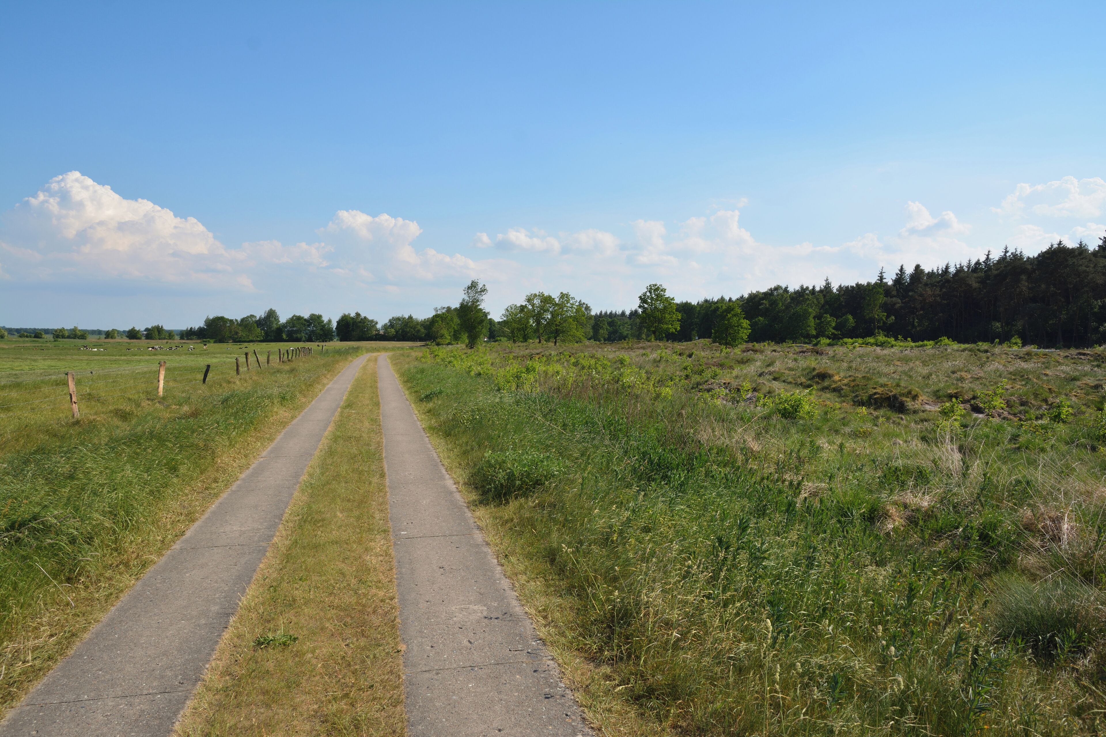 This is a picture of the protected area listed at WDPA under the ID