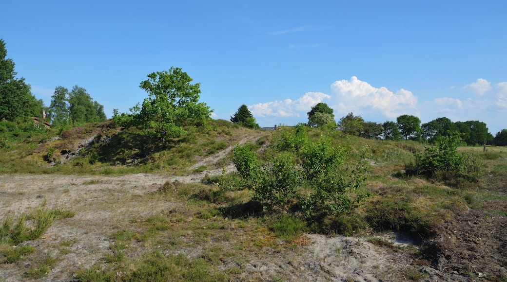 This is a picture of the protected area listed at WDPA under the ID