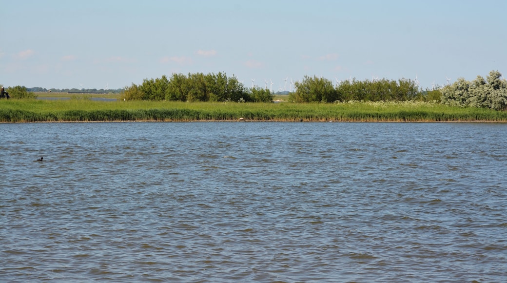 This is a picture of the protected area listed at WDPA under the ID