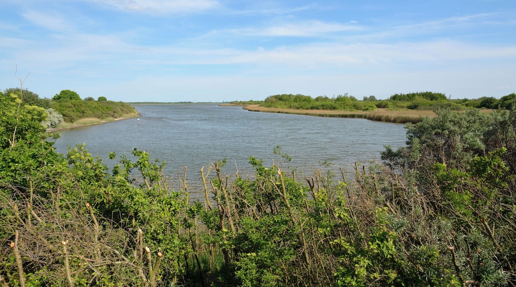 This is a picture of the protected area listed at WDPA under the ID