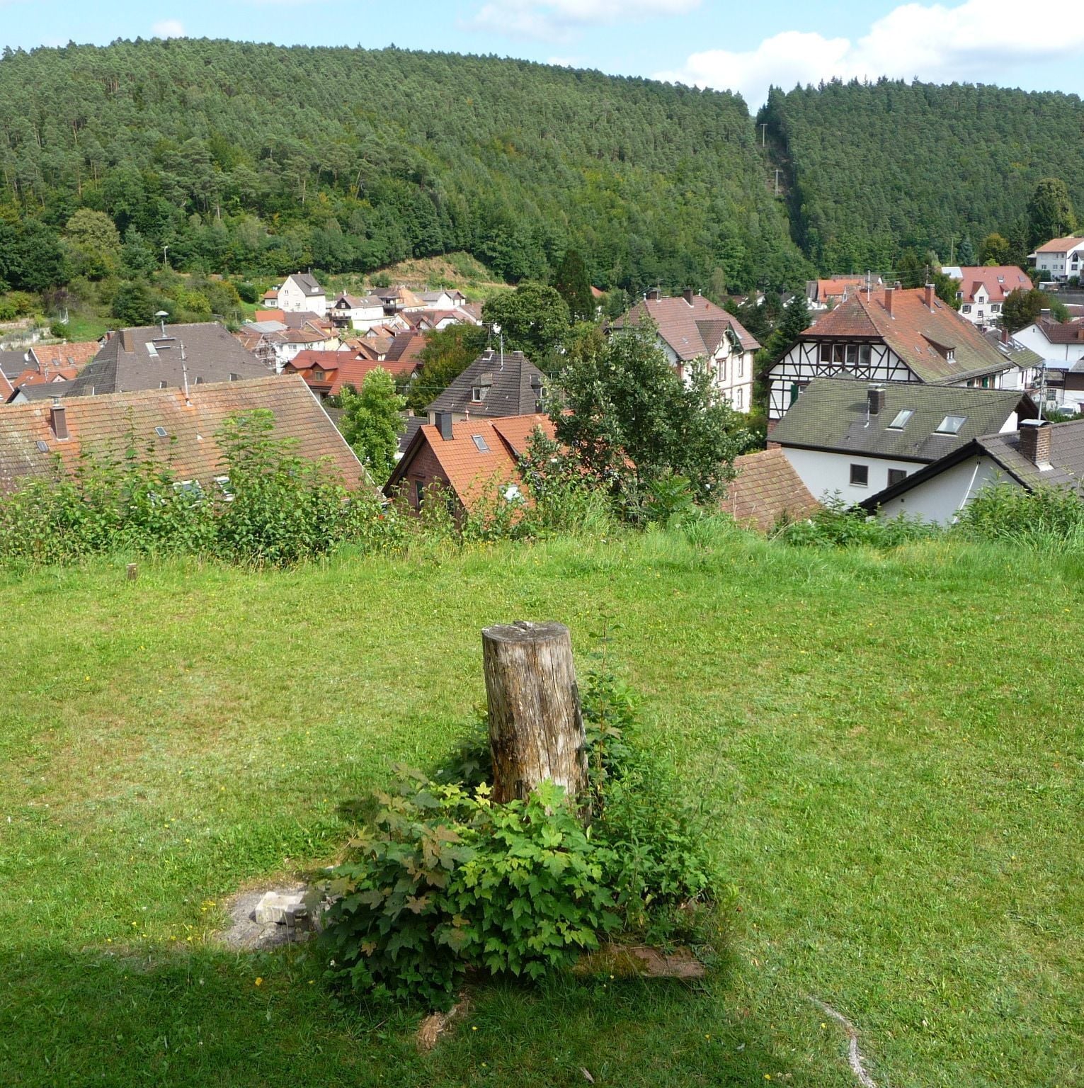 Blick über Elmstein