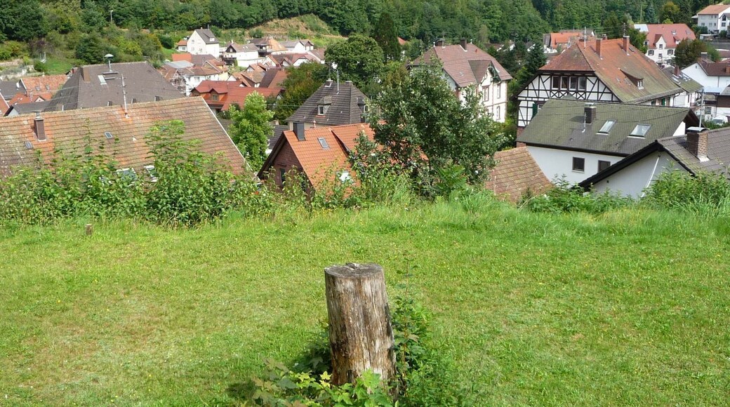 Blick über Elmstein