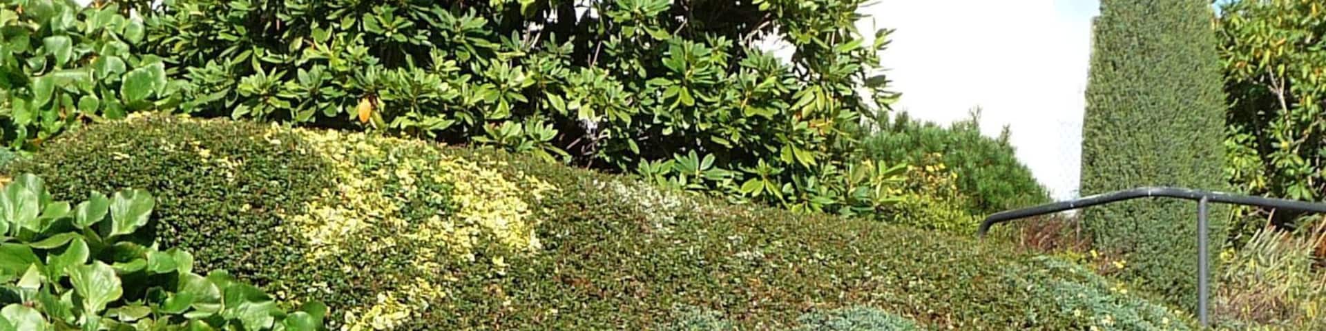 verschieden Grüntöne