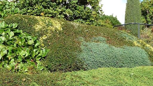 verschieden Grüntöne