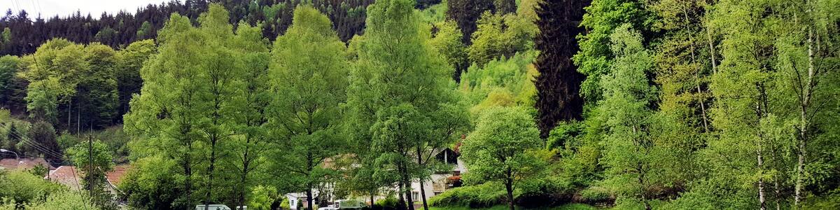 Möllbach pond in Elmstein