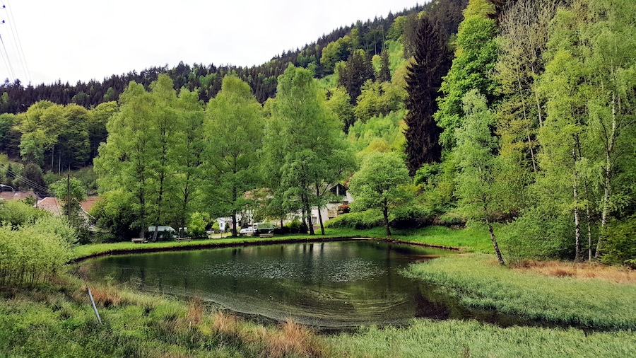 Een serene vijver omringd door weelderige groene bomen en een bebost heuvel.'