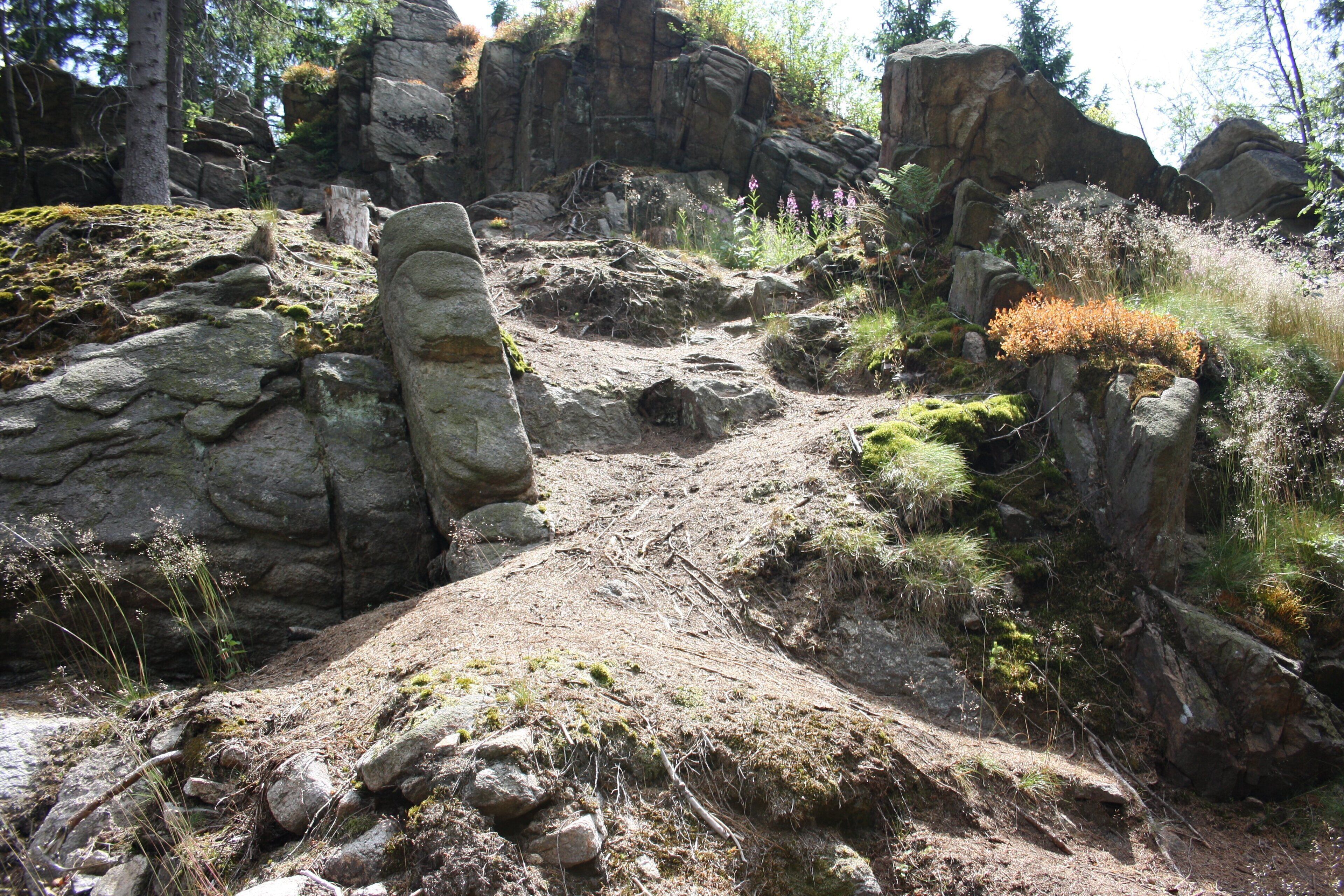 Harzwanderung Oberharz um Braunlage - Wurmberg - An und um die Scherstorklippe