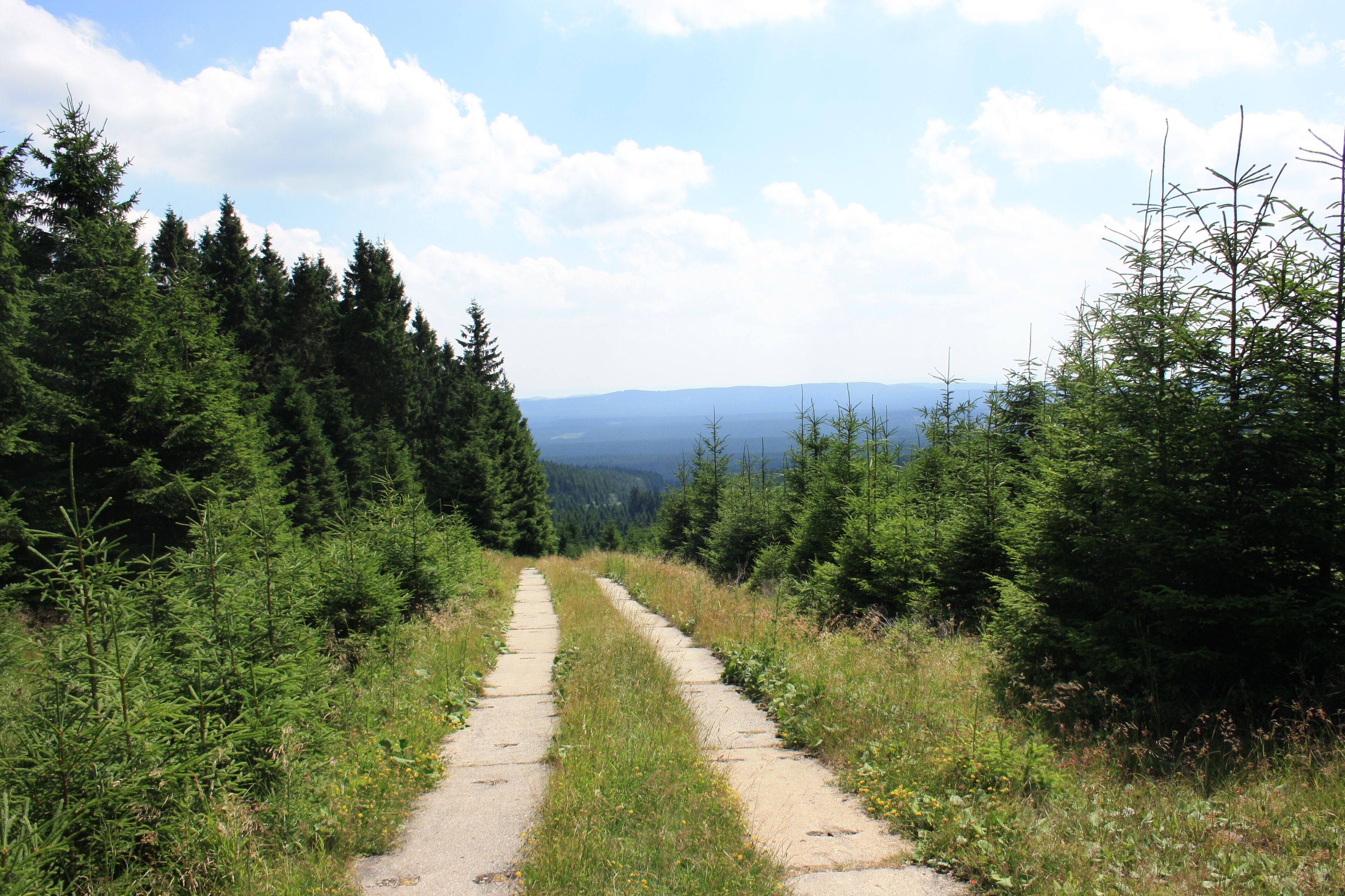 Harzwanderung Oberharz um Braunlage - Wurmberg - Weg nach Braunlage -Wurmberg- ehemaliger Postenweg innerdeutsche Grenze