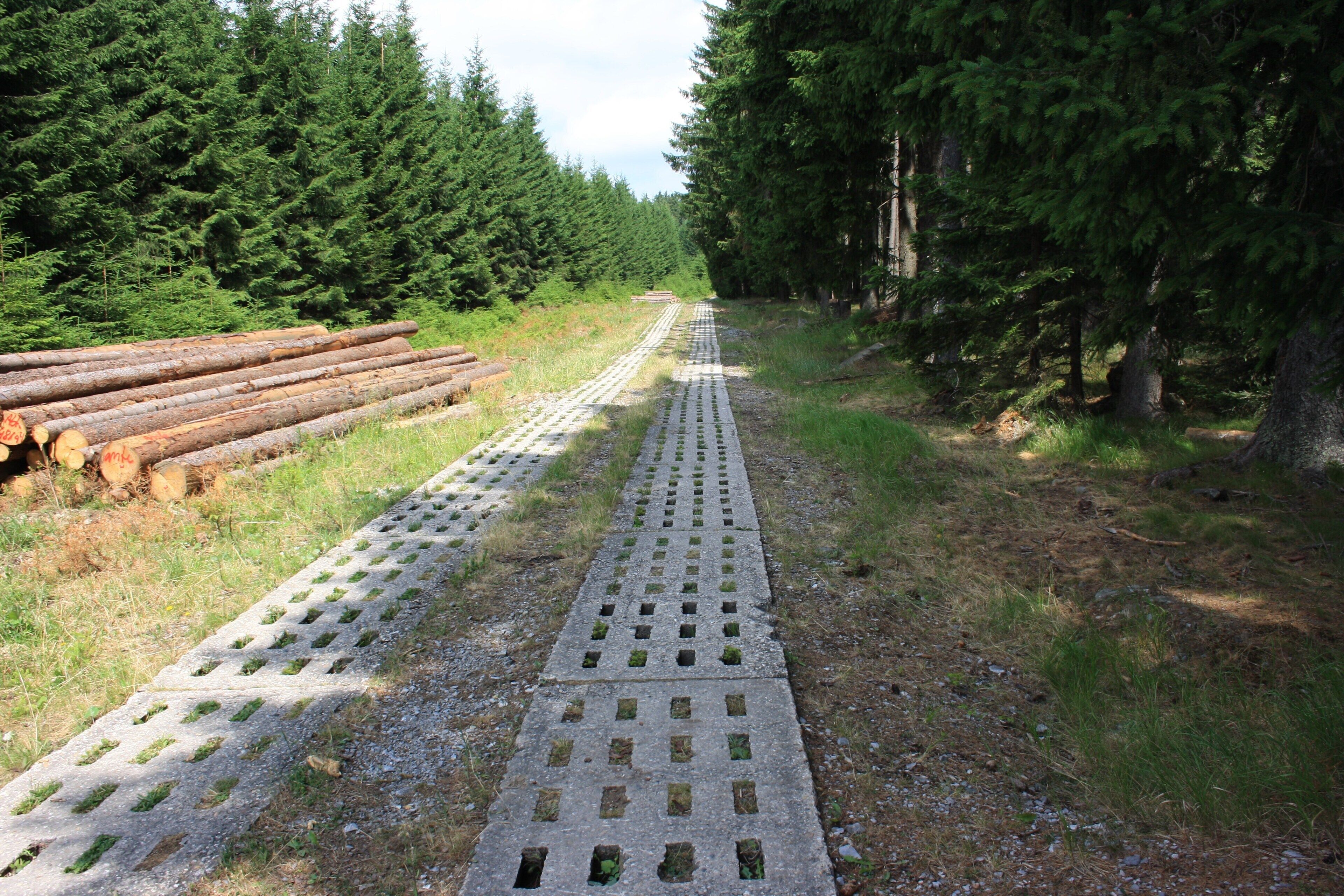 Harzwanderung Oberharz um Braunlage - Wurmberg -Elend ehemaliger Postenweg am Hinterlandzaun der Zonengrenze